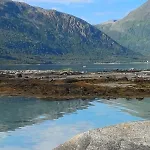 Seafront *